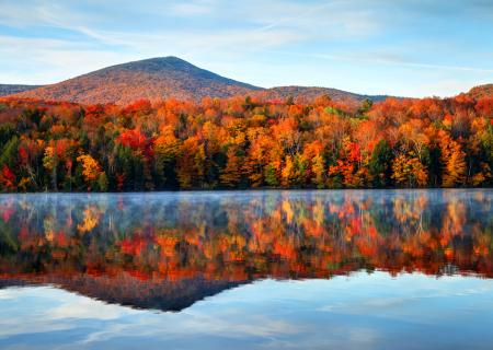 mountain view of bright fall foliage in Vermont