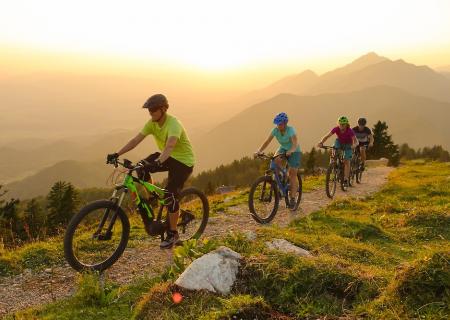 family mountain biking together on a sunny day