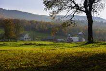 Landscape view of fall foliage with farm nearing sunset