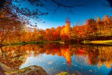 Vermont fall foliage reflecting in a lake on a bright blue-sky day