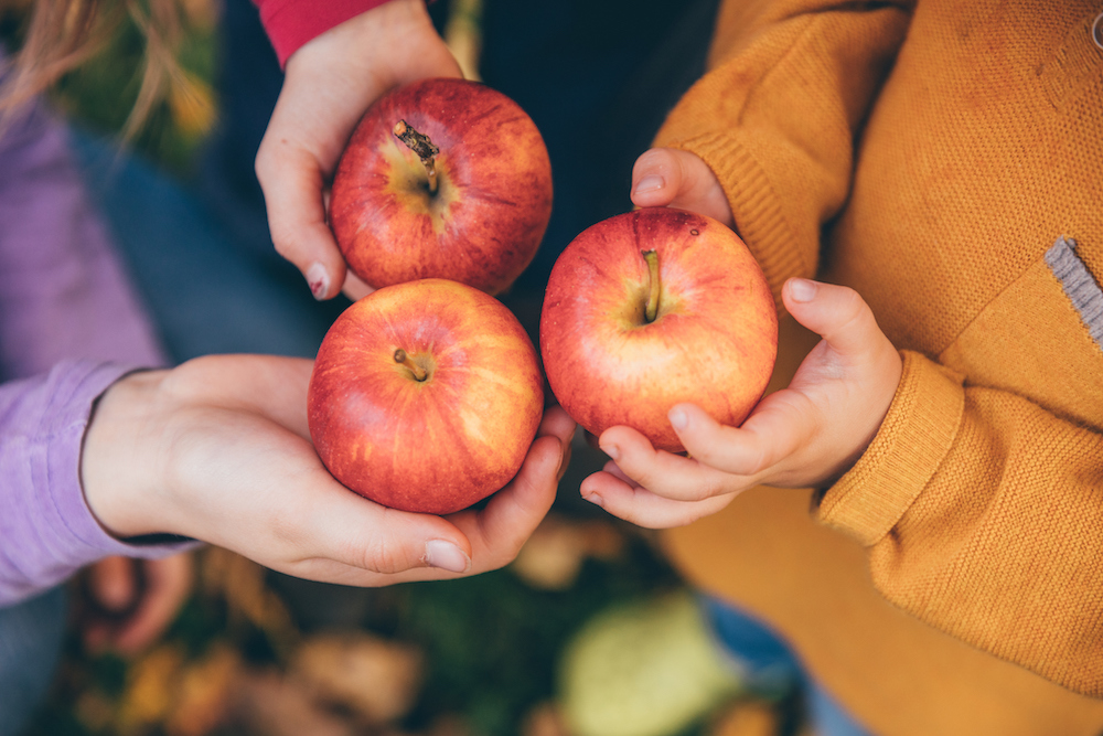 aerial view of three people each holding a red apple. close up on the apples