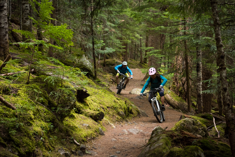 two people mountain biking down a wooded trail