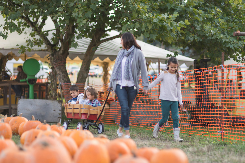 mom pulling children in a wagon at a fall festival pumpkin patch